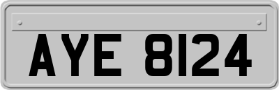 AYE8124