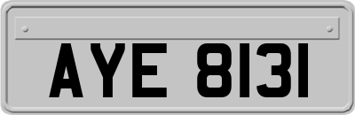 AYE8131