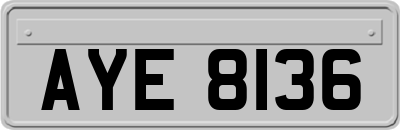 AYE8136