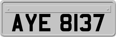 AYE8137