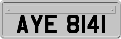 AYE8141