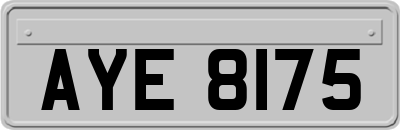 AYE8175