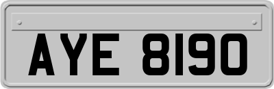 AYE8190