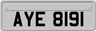 AYE8191