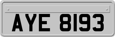 AYE8193