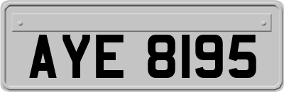 AYE8195