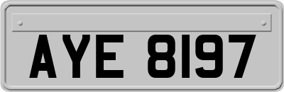 AYE8197