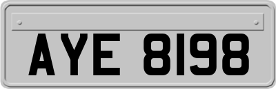 AYE8198