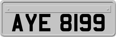 AYE8199