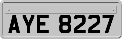 AYE8227