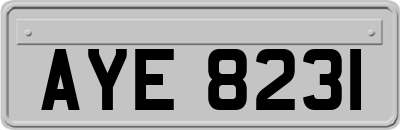AYE8231