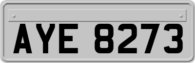 AYE8273