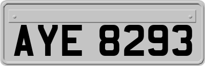 AYE8293