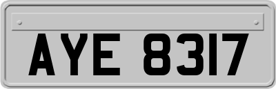 AYE8317