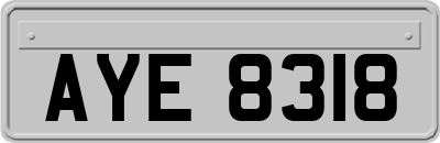 AYE8318