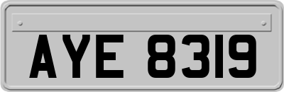 AYE8319