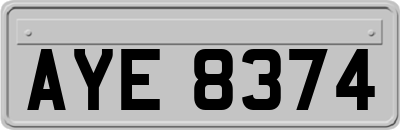 AYE8374