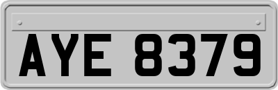 AYE8379