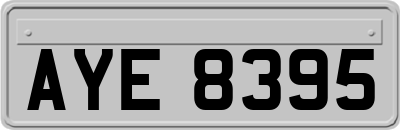 AYE8395