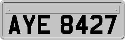 AYE8427