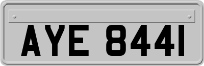 AYE8441