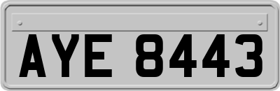 AYE8443