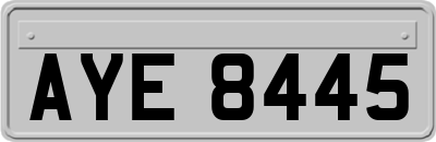 AYE8445
