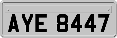 AYE8447