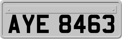 AYE8463