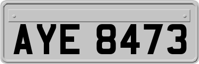 AYE8473