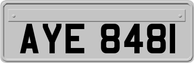 AYE8481