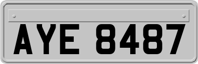 AYE8487