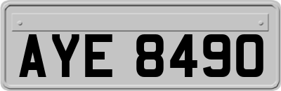 AYE8490