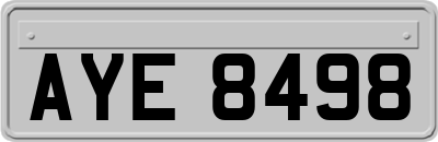 AYE8498