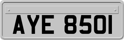 AYE8501