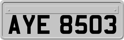 AYE8503
