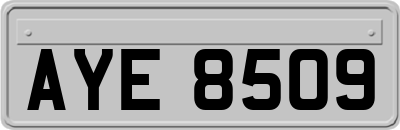 AYE8509