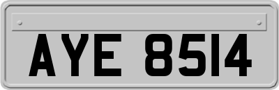 AYE8514