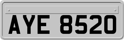 AYE8520