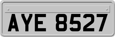AYE8527