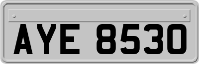AYE8530
