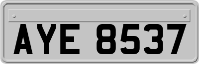 AYE8537