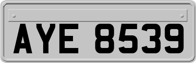 AYE8539