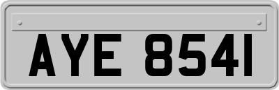 AYE8541