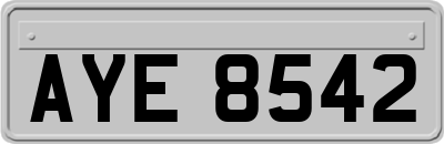 AYE8542
