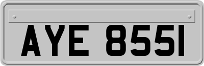 AYE8551
