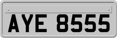 AYE8555