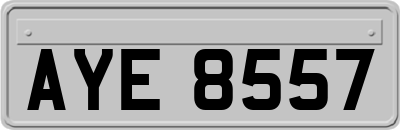 AYE8557