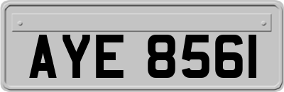 AYE8561