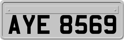 AYE8569